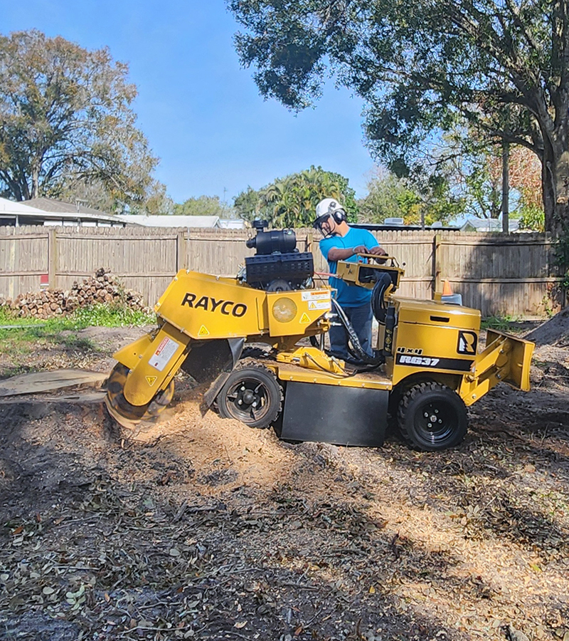 stump grinding